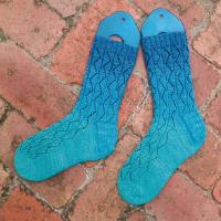 Euphyllia Lace Socks